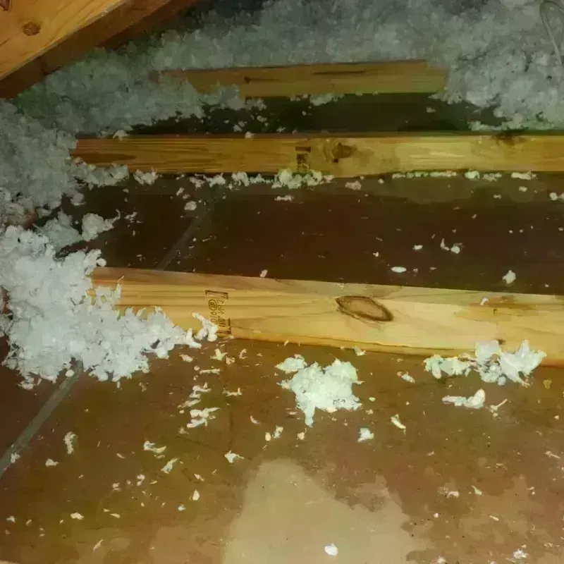 Attic Water Damage in Hayes Center, NE